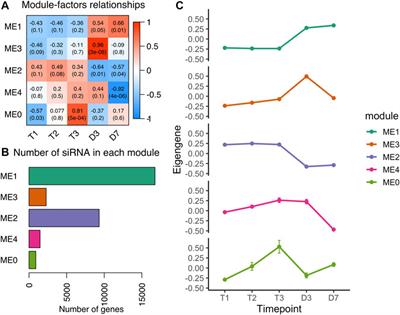 Genome-Wide Changes of Regulatory Non-Coding RNAs Reveal Pollen Development Initiated at Ecodormancy in Peach